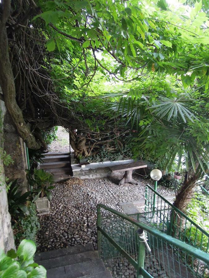 Charming House With Private Dock On Lake Como アルジェーニョ エクステリア 写真